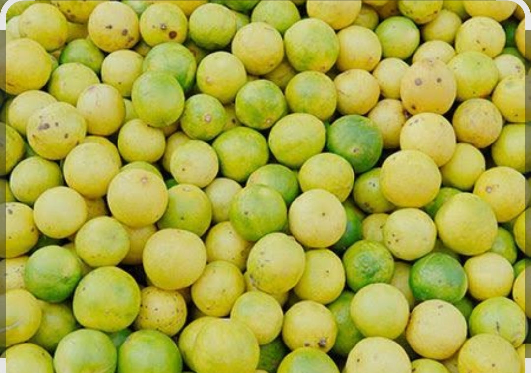 Lemon nimbu