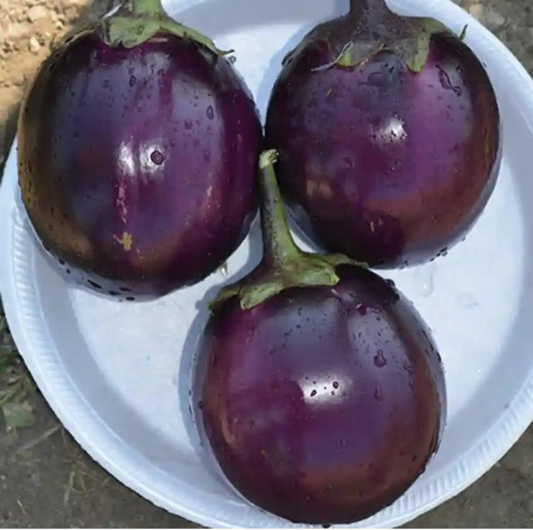 Gol baigan brinjal bhata