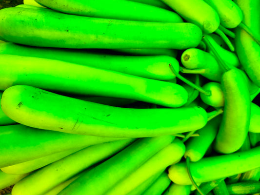 Bottle gourd lauki