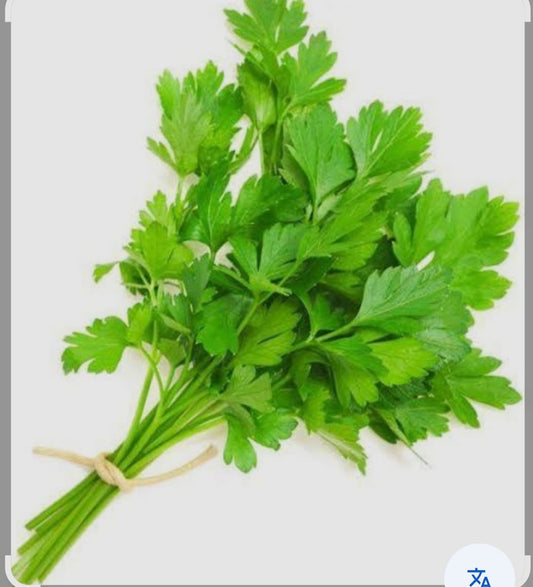 Dhaniya Coriander bunch