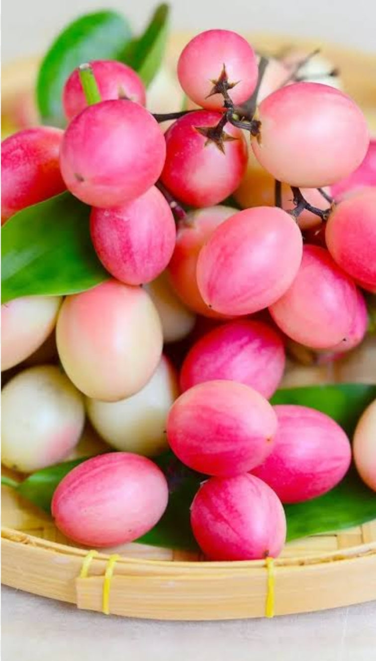 Karauda gooseberry