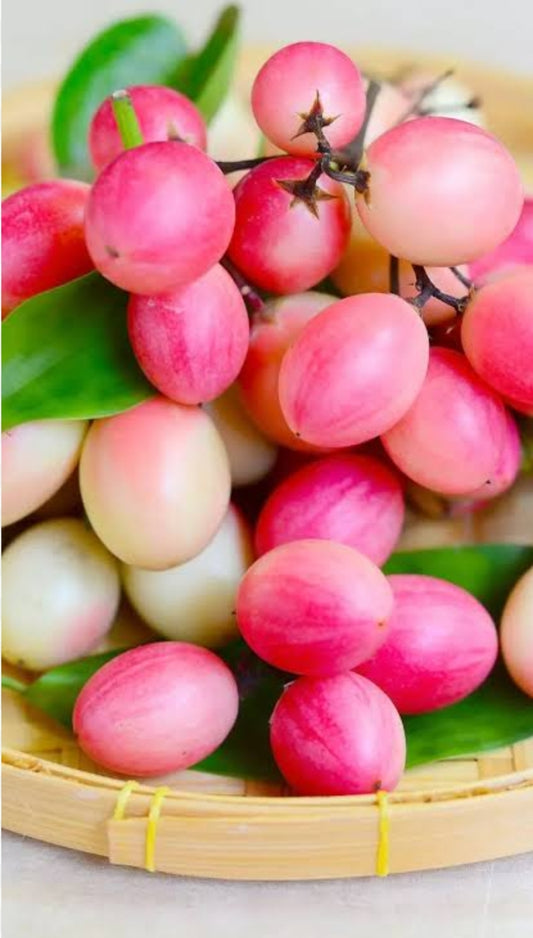 Karauda gooseberry