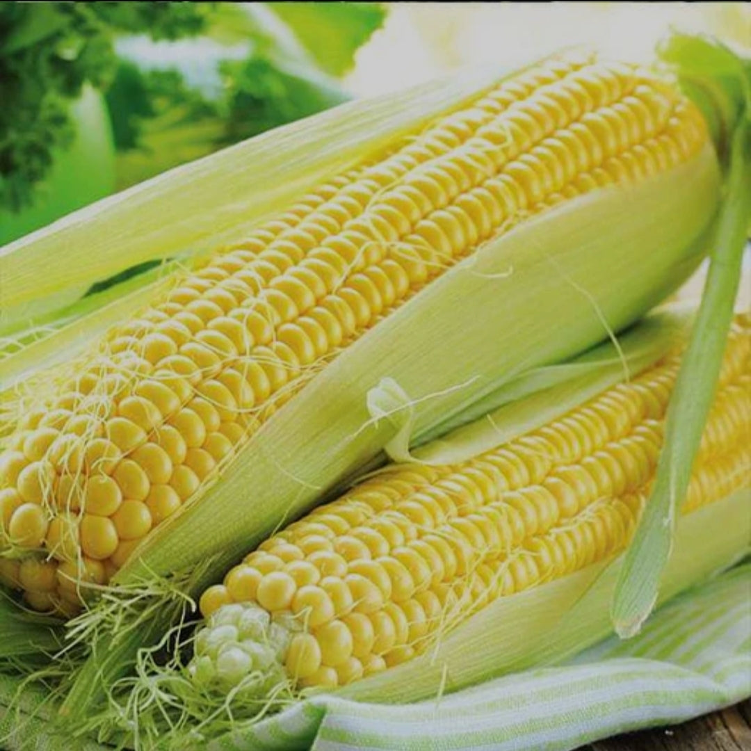 sweet corn