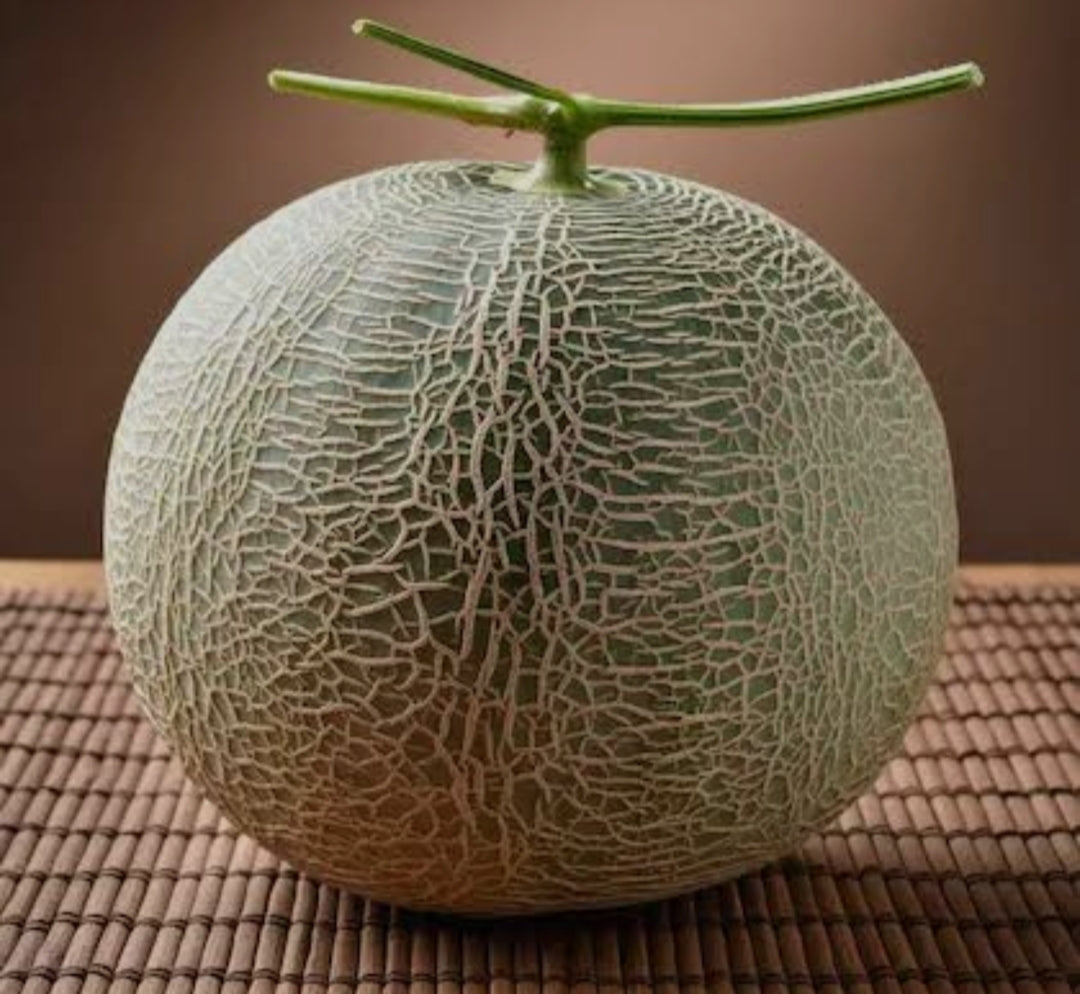 Muskmelon