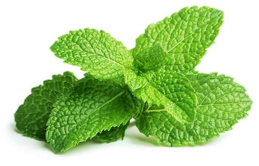 Pudeena mint