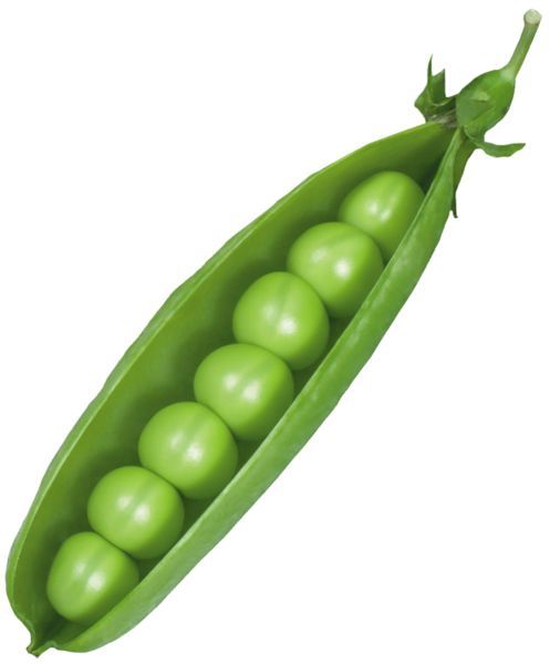 Peas matar