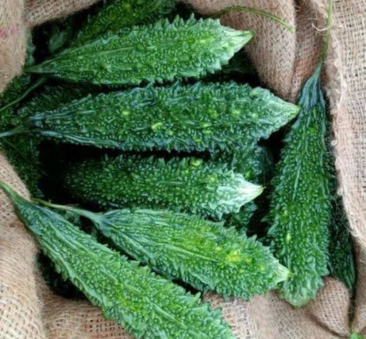 Karela bitter gourd