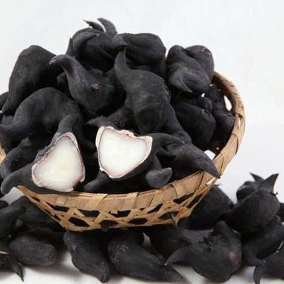 Singhada water chestnut