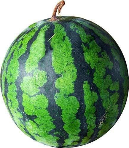 Watermelon Tarbooz