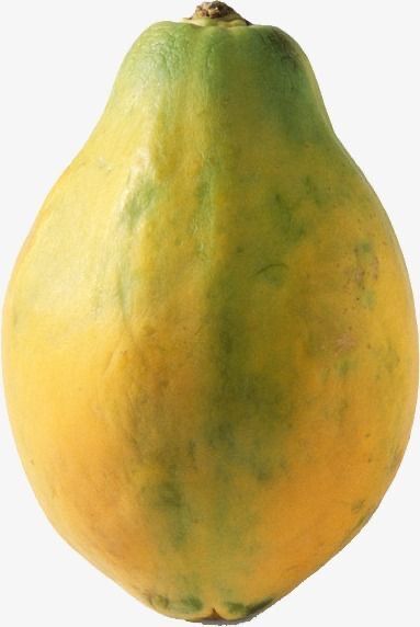 Papaya papita