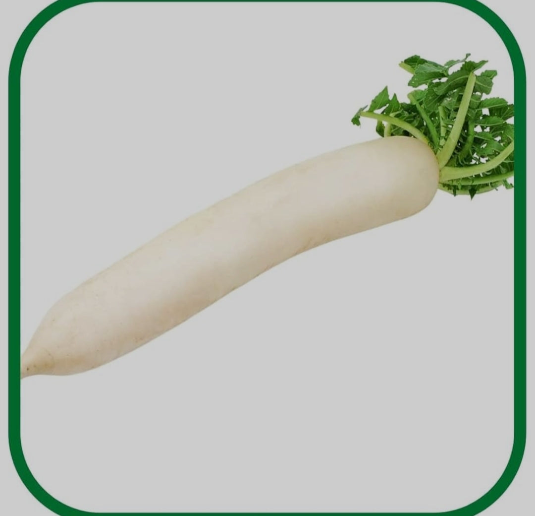 Radish muli