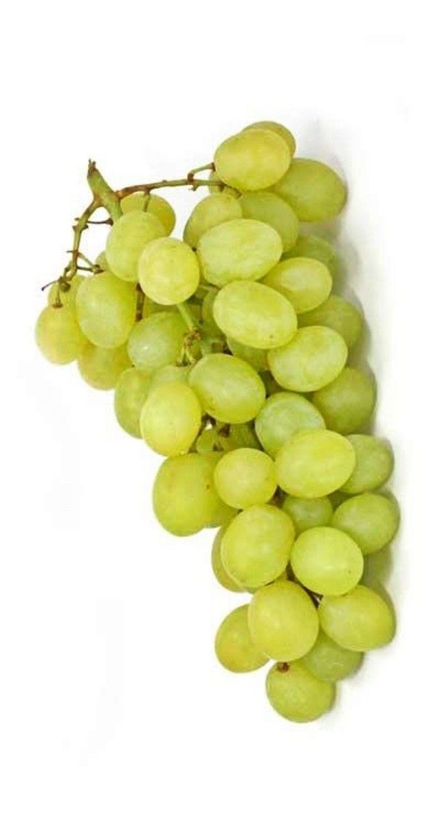 Grapes angoor