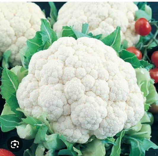 Quali flower fool gobhi