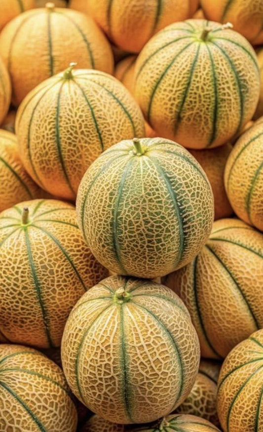Muskmelon kharbuja Desi bakiya
