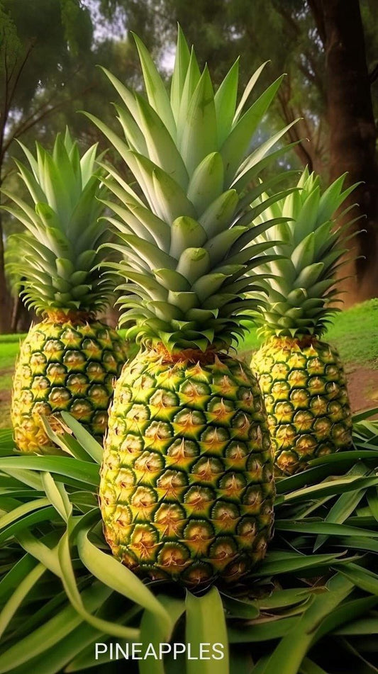 Pineapple
