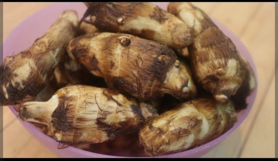 Ruiaya arbi