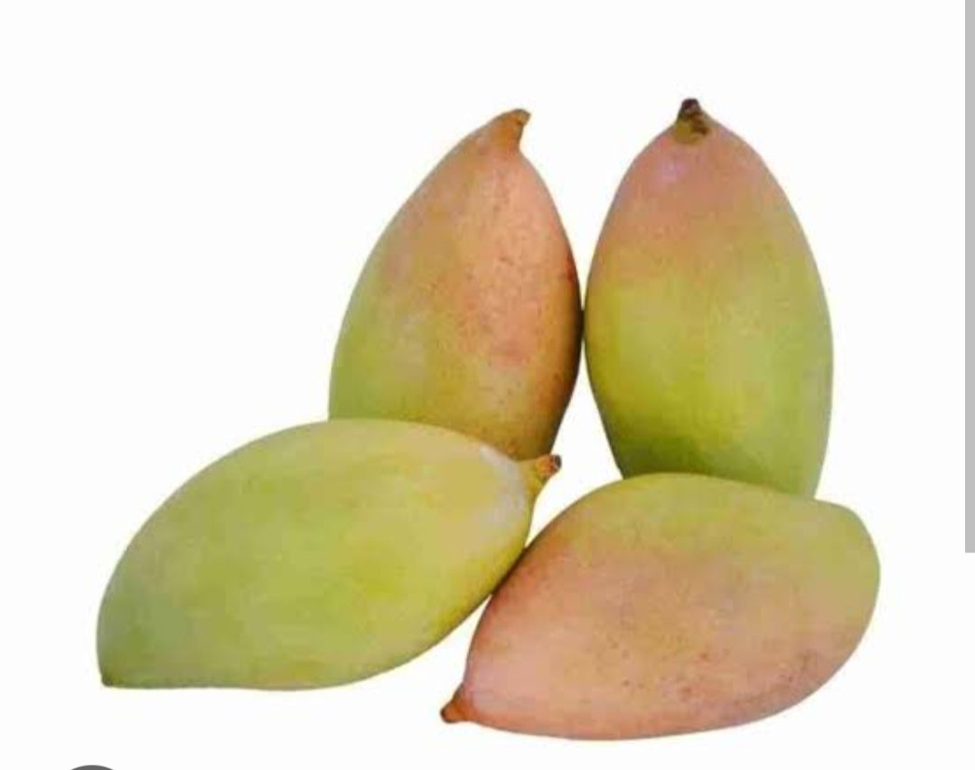 Totapari aam mango