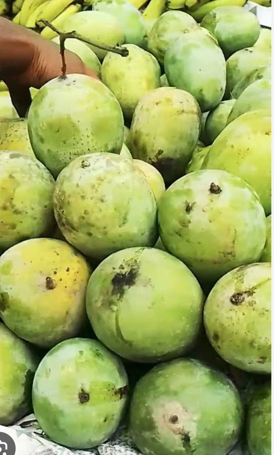Langda aam mango