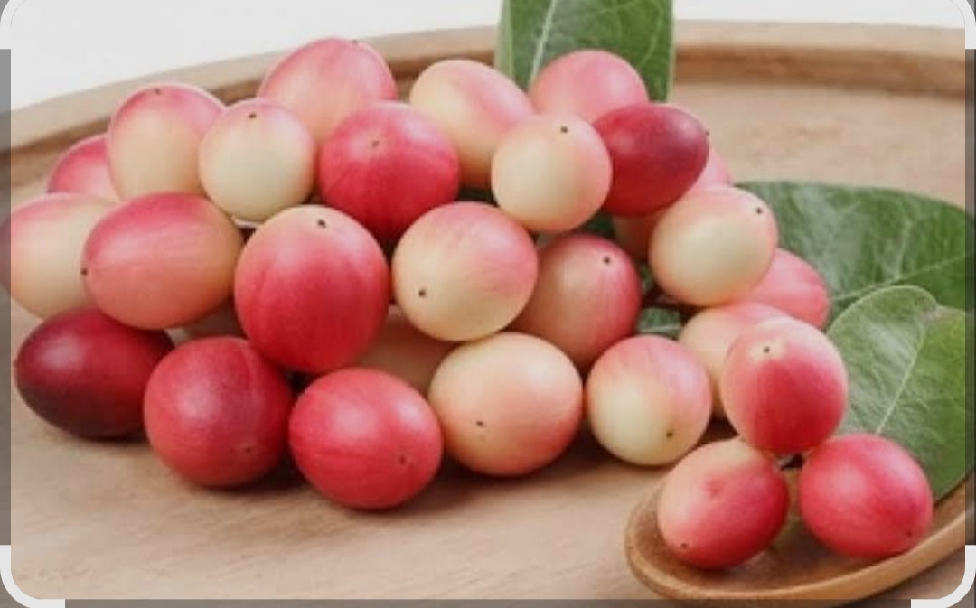 Karauda gooseberry