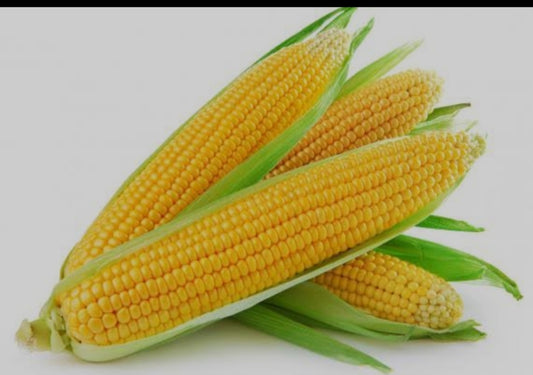 sweet corn