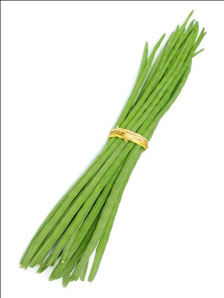 Munga drumstick