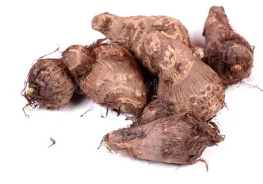 Ruiaya arbi
