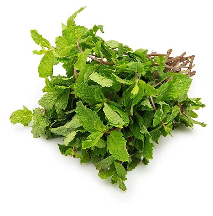 Pudeena mint