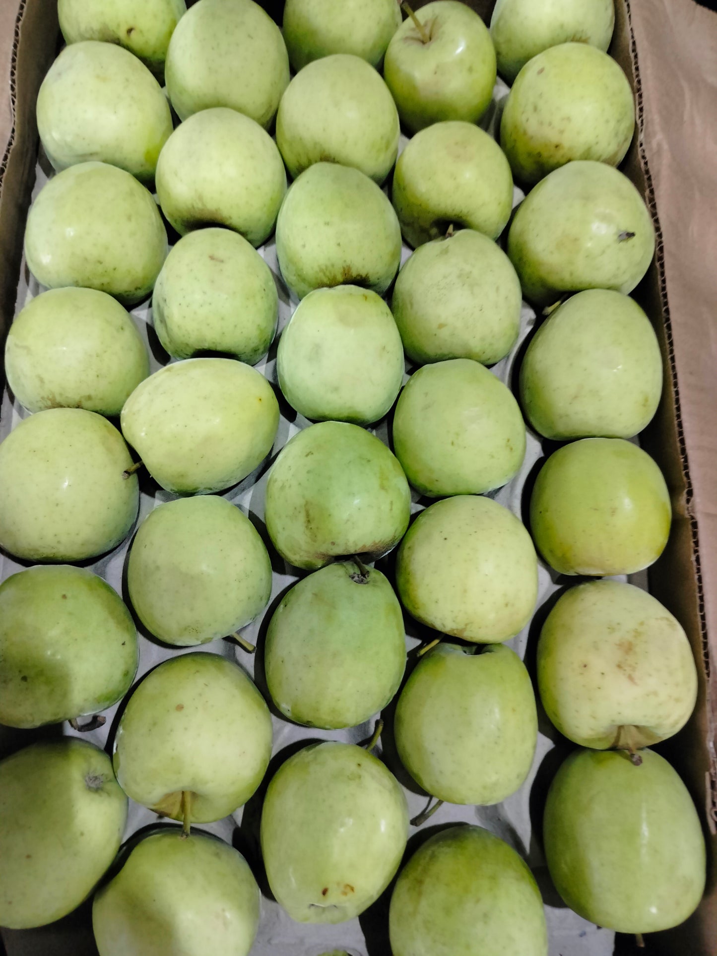 Green apple